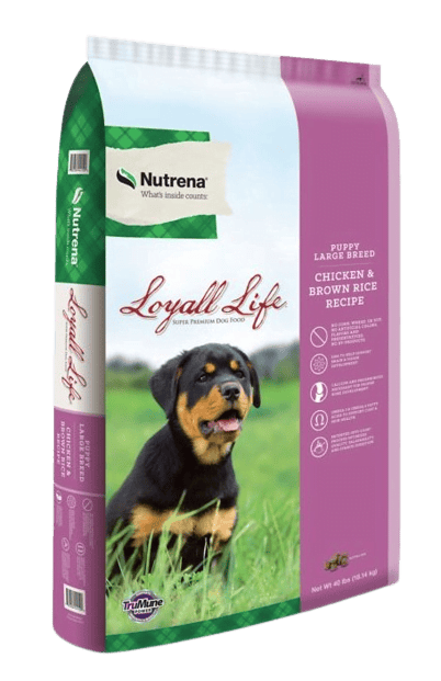 Loyal Life Puppy