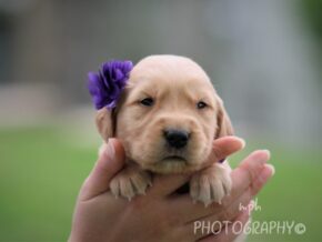 Photo of Stacey