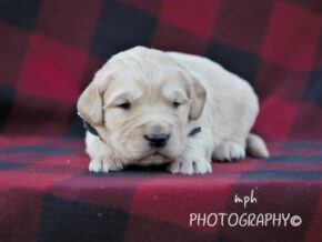Photo of Melly