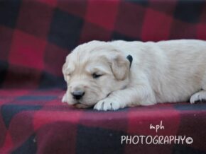 Photo of Melly