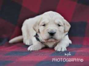 Photo of Melly