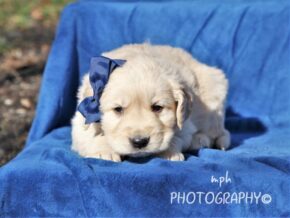 Photo of Sammy