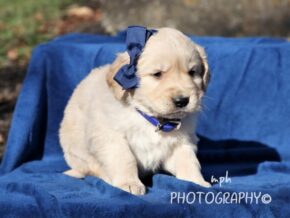 Photo of Sammy