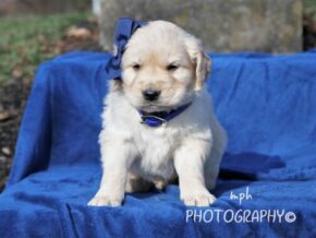 Photo of Sammy
