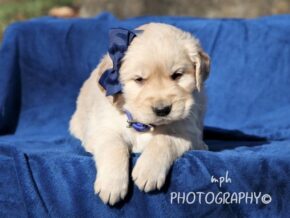Photo of Sammy