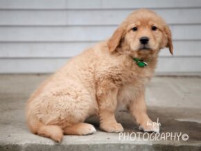 Photo of Sandy