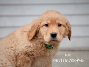 Photo of Sandy