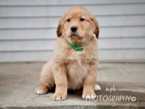 Photo of Sandy