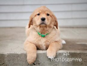 Photo of Sandy