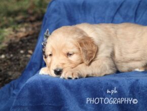 Photo of Sidney