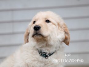 Photo of Star