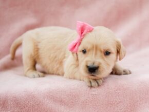 Photo of Maleah