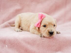 Photo of Maleah