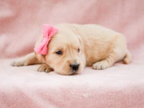Photo of Maleah