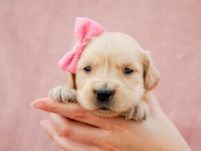 Photo of Maleah