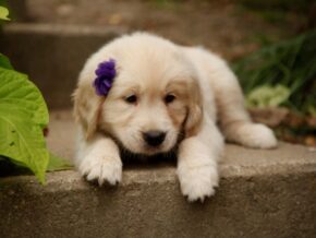 Photo of Quanna
