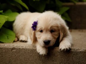 Photo of Quanna