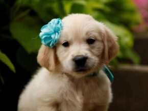 Photo of Sheela