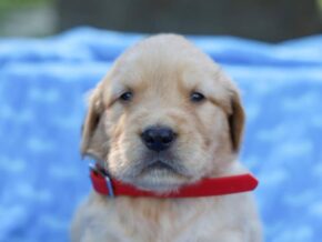 Photo of Mase