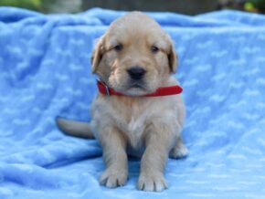 Photo of Mase